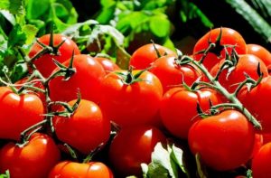 Tomaten enthalten Lektine